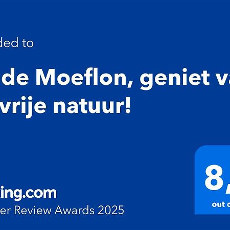 Wilde Moeflon, Geniet Van De Vrije Natuur! Otterlo Exterior photo