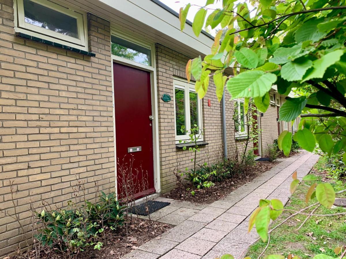 Wilde Moeflon, Geniet Van De Vrije Natuur! Otterlo Exterior photo