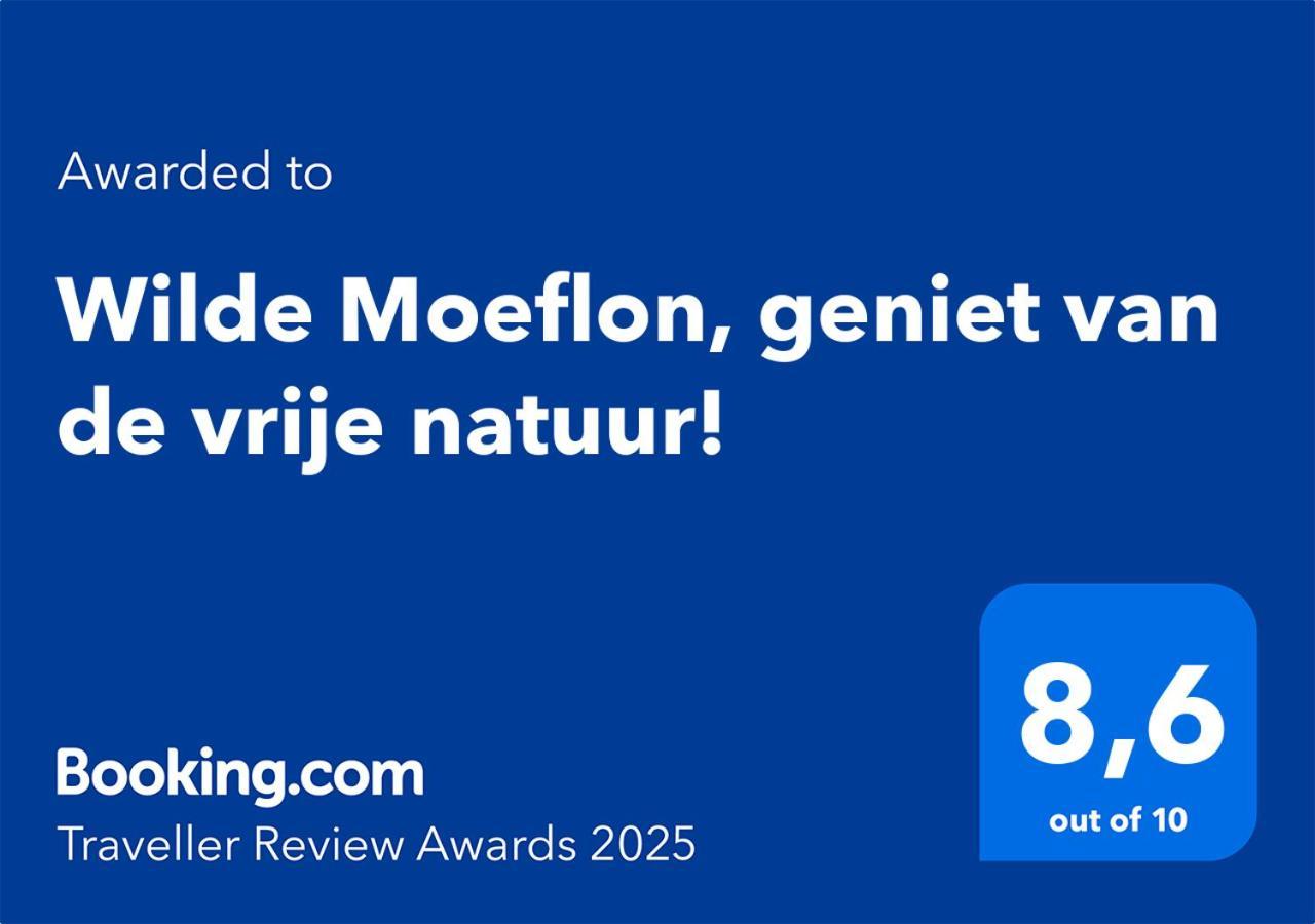 Wilde Moeflon, Geniet Van De Vrije Natuur! Otterlo Exterior photo